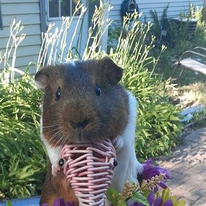 Meet your Posher, Selena